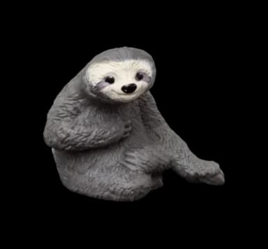 Dreifingerfaultier