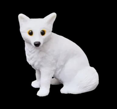 Polarfuchs Stella